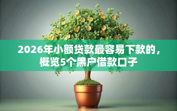 2026年小额贷款最容易下款的，概览5个黑户借款口子