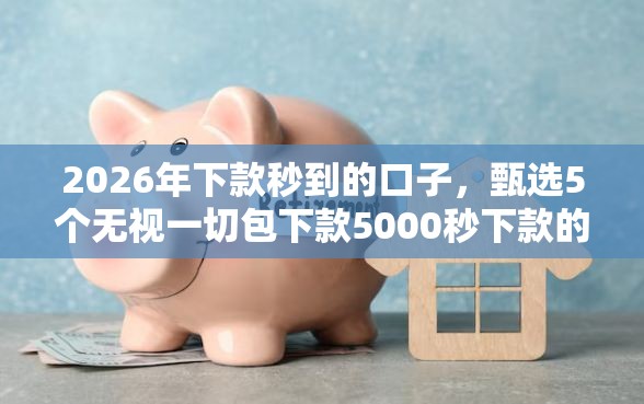 2026年下款秒到的口子,甄选5个无视一切包下款5000秒下款的口子 2026年下款秒到的口子,甄选5个无视一切包下款5000秒下款的口子