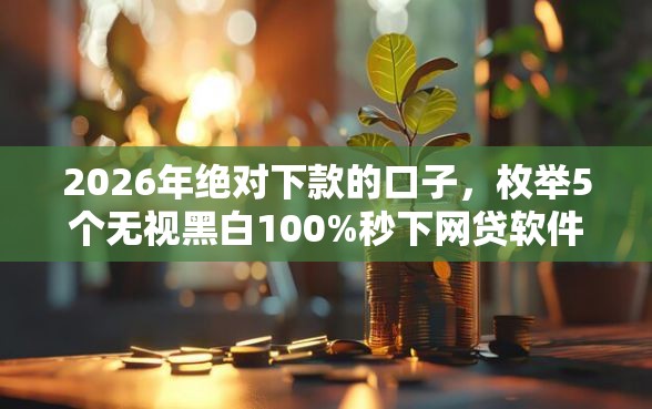 2026年绝对下款的口子，枚举5个无视黑白100%秒下网贷软件