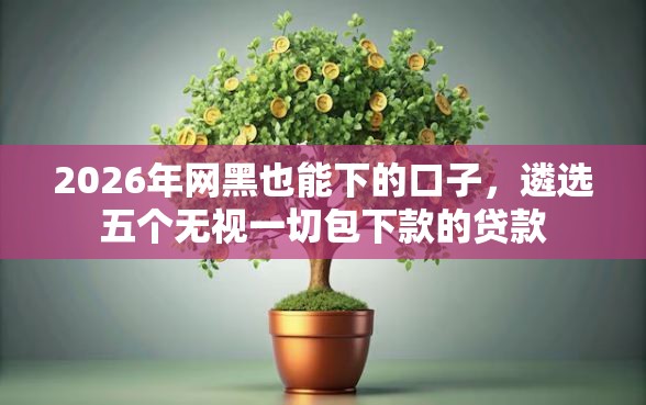2026年网黑也能下的口子，遴选五个无视一切包下款的贷款