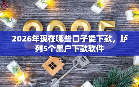 2026年现在哪些口子能下款，胪列5个黑户下款软件