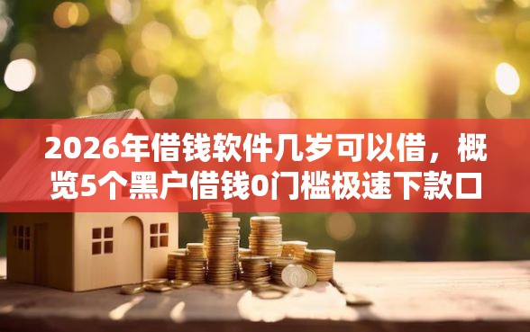 2026年借钱软件几岁可以借，概览5个黑户借钱0门槛极速下款口子
