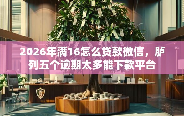 2026年满16怎么贷款微信，胪列五个逾期太多能下款平台