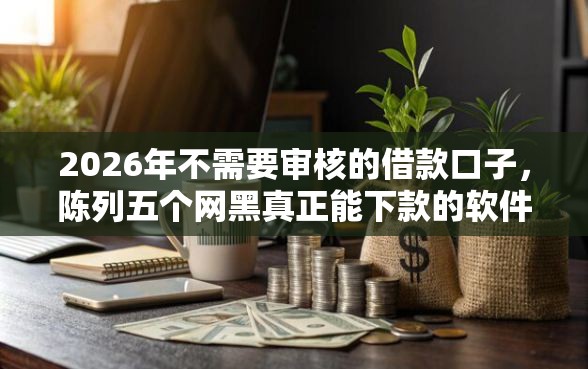 2026年不需要审核的借款口子，陈列五个网黑真正能下款的软件