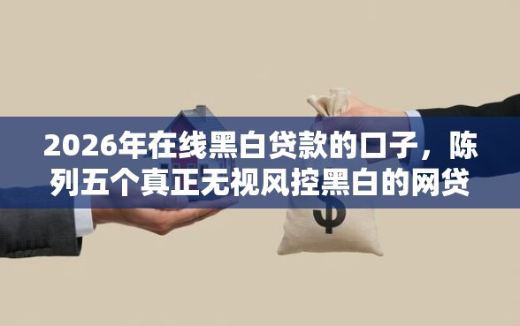 2026年在线黑白贷款的口子，陈列五个真正无视风控黑白的网贷软件
