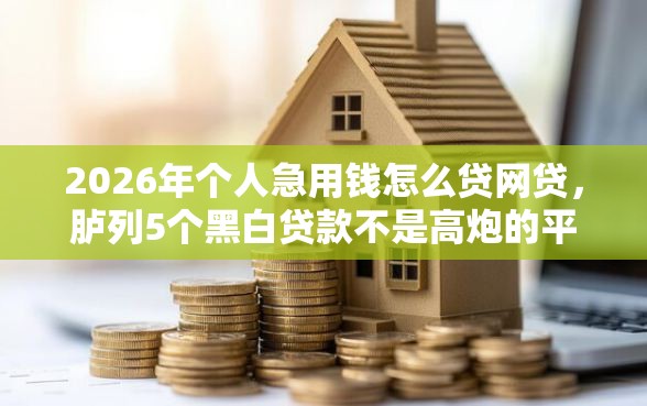 2026年个人急用钱怎么贷网贷，胪列5个黑白贷款不是高炮的平台