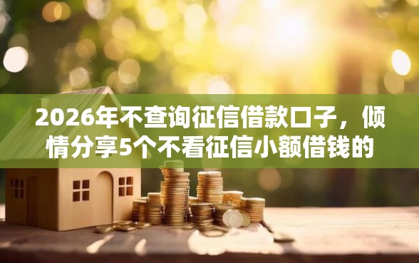 2026年不查询征信借款口子，倾情分享5个不看征信小额借钱的口子