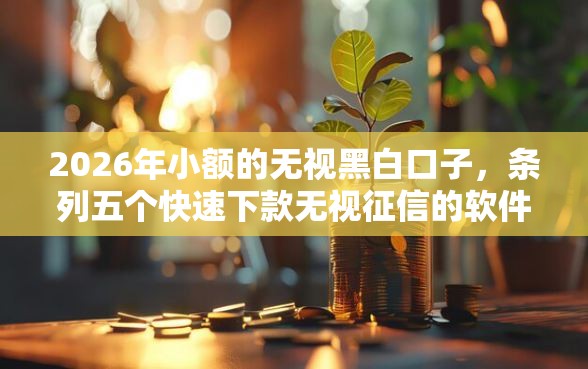2026年小额的无视黑白口子，条列五个快速下款无视征信的软件