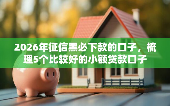 2026年征信黑必下款的口子，梳理5个比较好的小额贷款口子