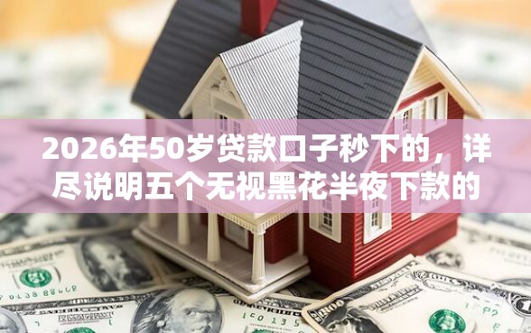 2026年50岁贷款口子秒下的，详尽说明五个无视黑花半夜下款的网贷口子