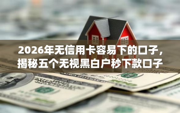 2026年无信用卡容易下的口子，揭秘五个无视黑白户秒下款口子app