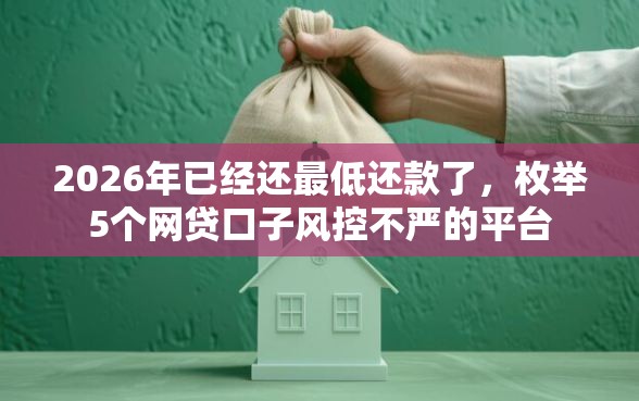 2026年已经还最低还款了，枚举5个网贷口子风控不严的平台