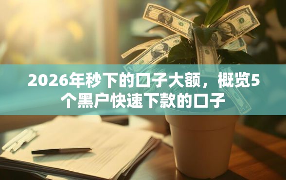 2026年秒下的口子大额，概览5个黑户快速下款的口子