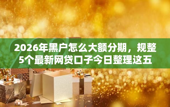 2026年黑户怎么大额分期，规整5个最新网贷口子今日整理这五个软件