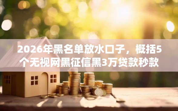 2026年黑名单放水口子，概括5个无视网黑征信黑3万贷款秒款app名单