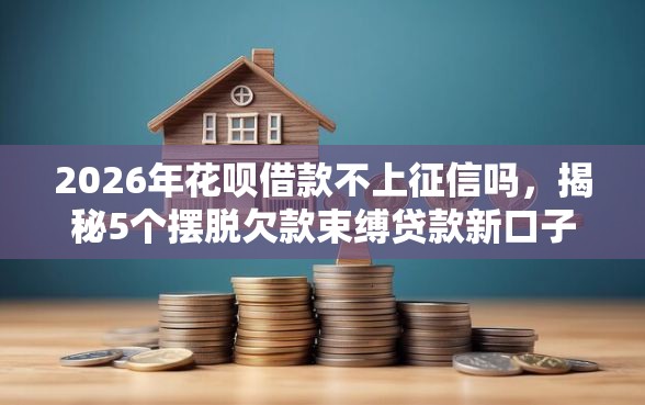 2026年花呗借款不上征信吗，揭秘5个摆脱欠款束缚贷款新口子