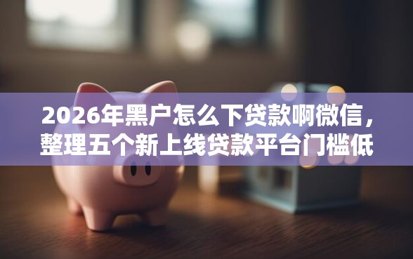 2026年黑户怎么下贷款啊微信，整理五个新上线贷款平台门槛低软件