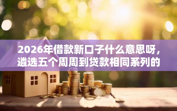 2026年借款新口子什么意思呀，遴选五个周周到贷款相同系列的口子