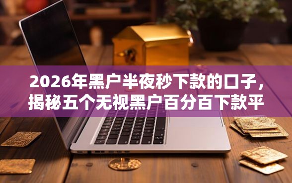 2026年黑户半夜秒下款的口子，揭秘五个无视黑户百分百下款平台