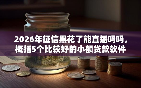 2026年征信黑花了能直播吗吗，概括5个比较好的小额贷款软件