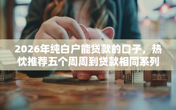 2026年纯白户能贷款的口子，热忱推荐五个周周到贷款相同系列的口子