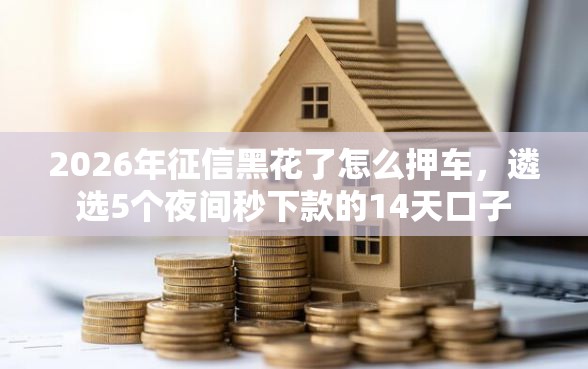 2026年征信黑花了怎么押车，遴选5个夜间秒下款的14天口子