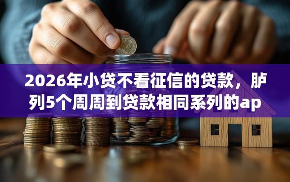 2026年小贷不看征信的贷款，胪列5个周周到贷款相同系列的app