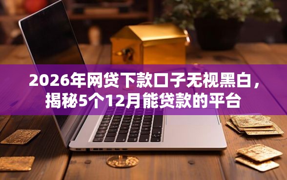 2026年网贷下款口子无视黑白，揭秘5个12月能贷款的平台