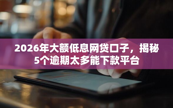 2026年大额低息网贷口子，揭秘5个逾期太多能下款平台