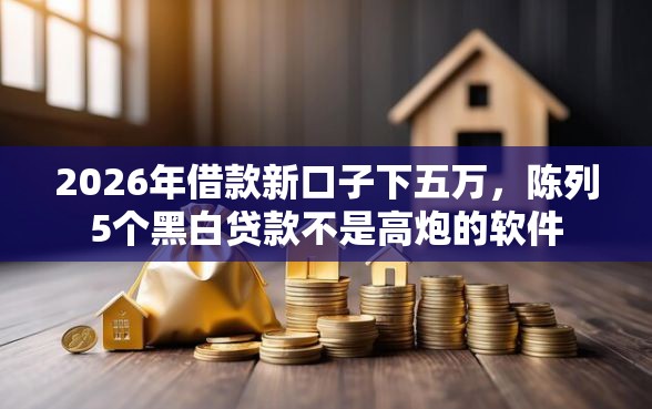 2026年借款新口子下五万，陈列5个黑白贷款不是高炮的软件
