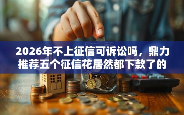 2026年不上征信可诉讼吗，鼎力推荐五个征信花居然都下款了的口子