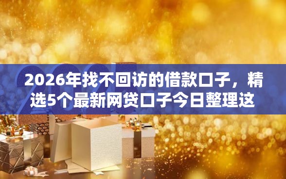 2026年找不回访的借款口子，精选5个最新网贷口子今日整理这五个平台