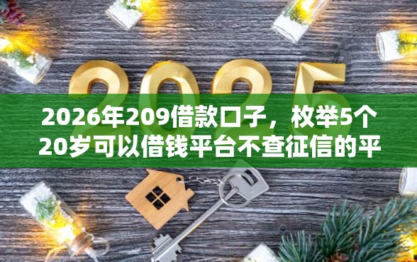 2026年209借款口子，枚举5个20岁可以借钱平台不查征信的平台