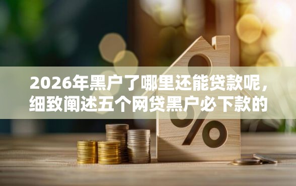 2026年黑户了哪里还能贷款呢，细致阐述五个网贷黑户必下款的口子