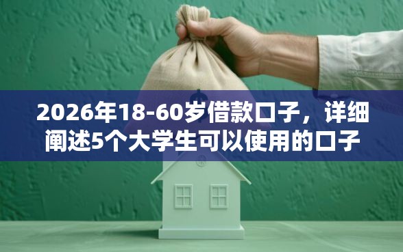 2026年18-60岁借款口子，详细阐述5个大学生可以使用的口子