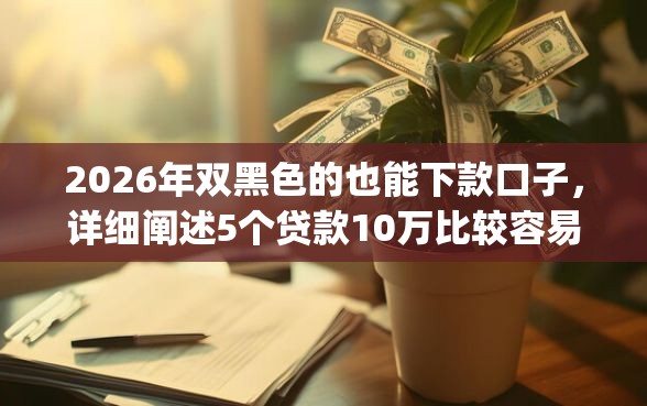 2026年双黑色的也能下款口子，详细阐述5个贷款10万比较容易的app