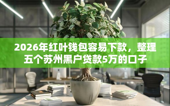 2026年红叶钱包容易下款，整理五个苏州黑户贷款5万的口子