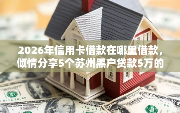 2026年信用卡借款在哪里借款，倾情分享5个苏州黑户贷款5万的口子