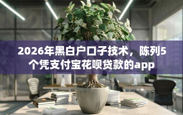 2026年黑白户口子技术，陈列5个凭支付宝花呗贷款的app