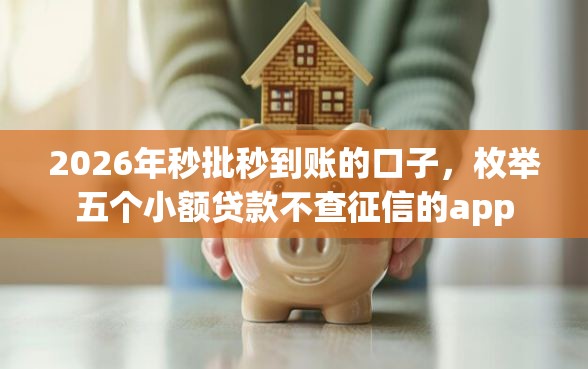2026年秒批秒到账的口子，枚举五个小额贷款不查征信的app