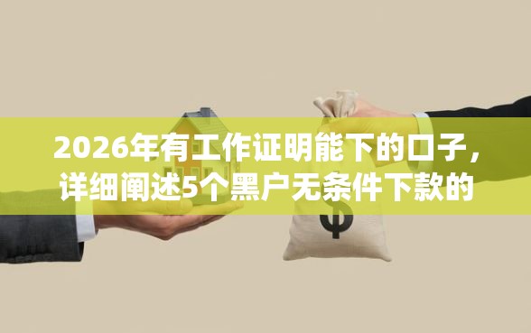 2026年有工作证明能下的口子，详细阐述5个黑户无条件下款的app