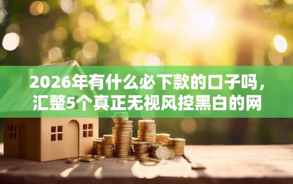 2026年有什么必下款的口子吗，汇整5个真正无视风控黑白的网贷软件