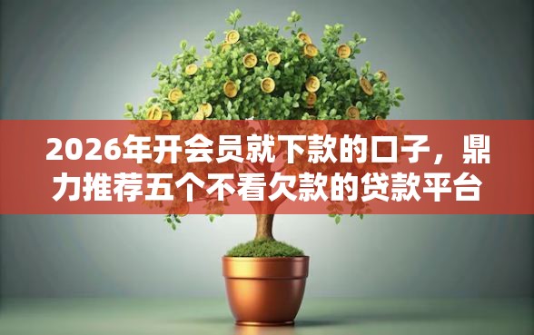 2026年开会员就下款的口子，鼎力推荐五个不看欠款的贷款平台