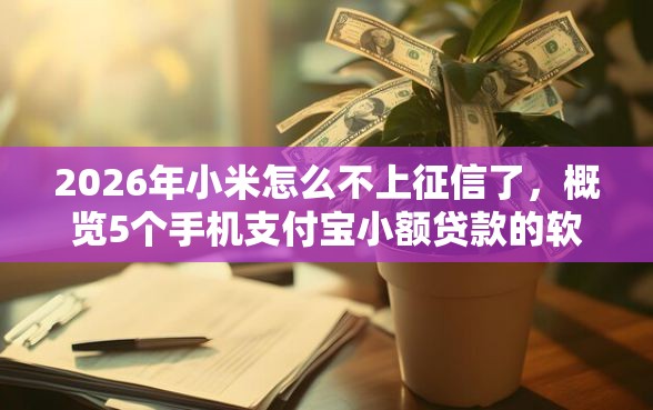 2026年小米怎么不上征信了，概览5个手机支付宝小额贷款的软件