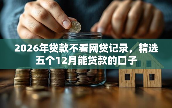 2026年贷款不看网贷记录，精选五个12月能贷款的口子