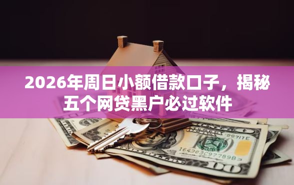 2026年周日小额借款口子，揭秘五个网贷黑户必过软件
