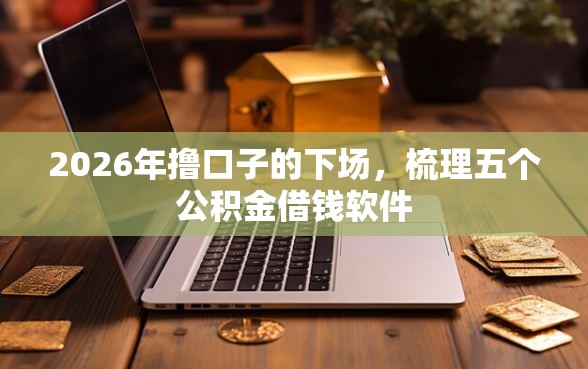 2026年撸口子的下场，梳理五个公积金借钱软件