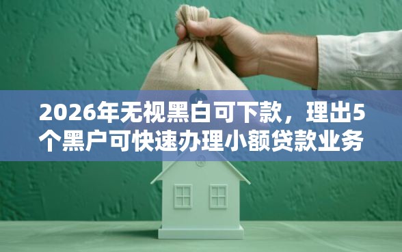 2026年无视黑白可下款，理出5个黑户可快速办理小额贷款业务的口子