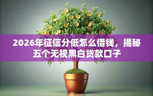 2026年征信分低怎么借钱，揭秘五个无视黑白贷款口子