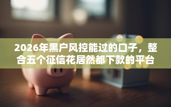 2026年黑户风控能过的口子，整合五个征信花居然都下款的平台
